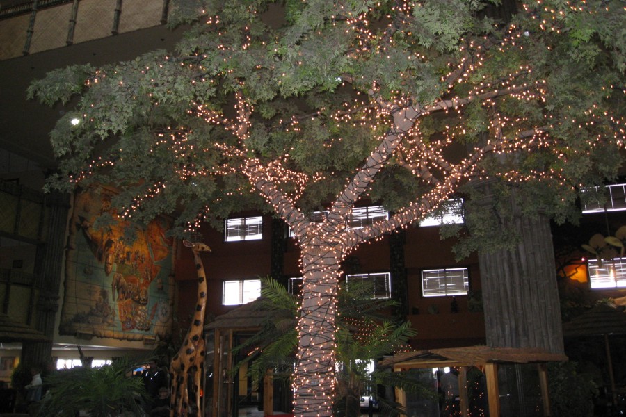 ../image/kalahari lobby.jpg